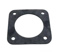 Sta-Rite Dura/Max-E-Glas Port Gasket | TC-G-99R